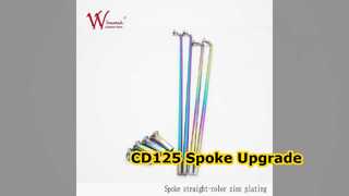 Bộ nan xe máy CD125 Thép xoắn